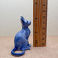 Blue Sphynx Cat