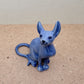 Blue Sphynx Cat