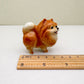 Orange Pomeranian