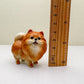 Orange Pomeranian