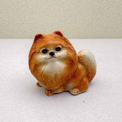 Orange Pomeranian