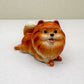 Orange Pomeranian