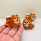 Orange Pomeranian