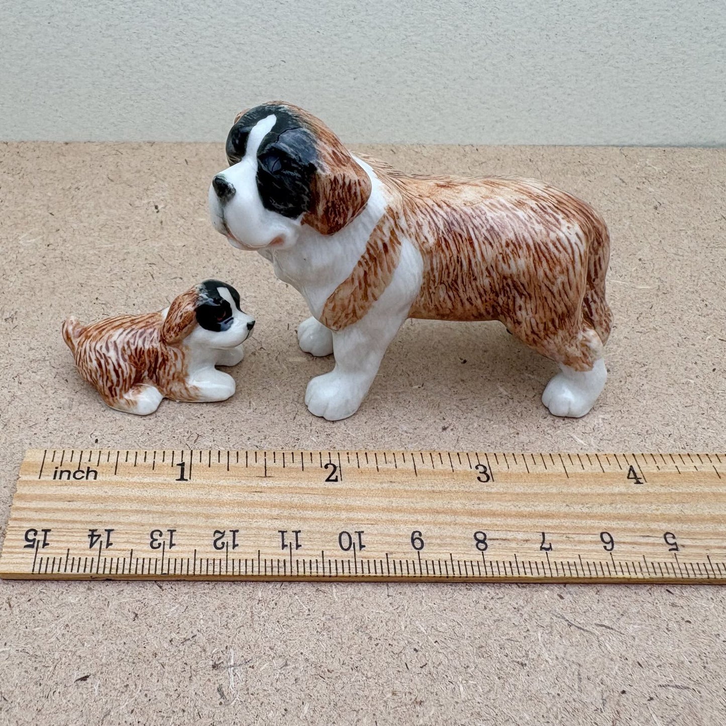 The Saint Bernard Bunch