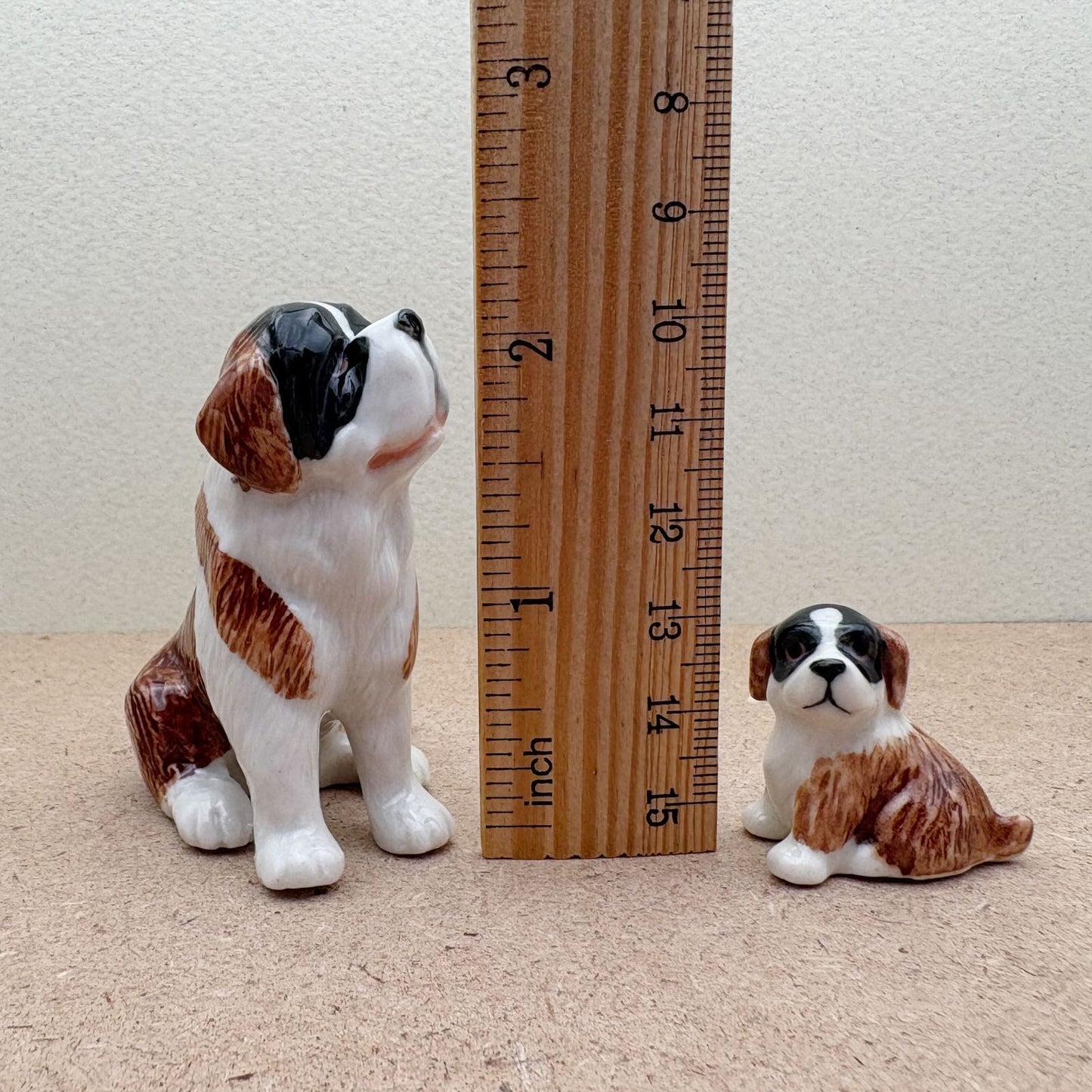 The Saint Bernard Bunch