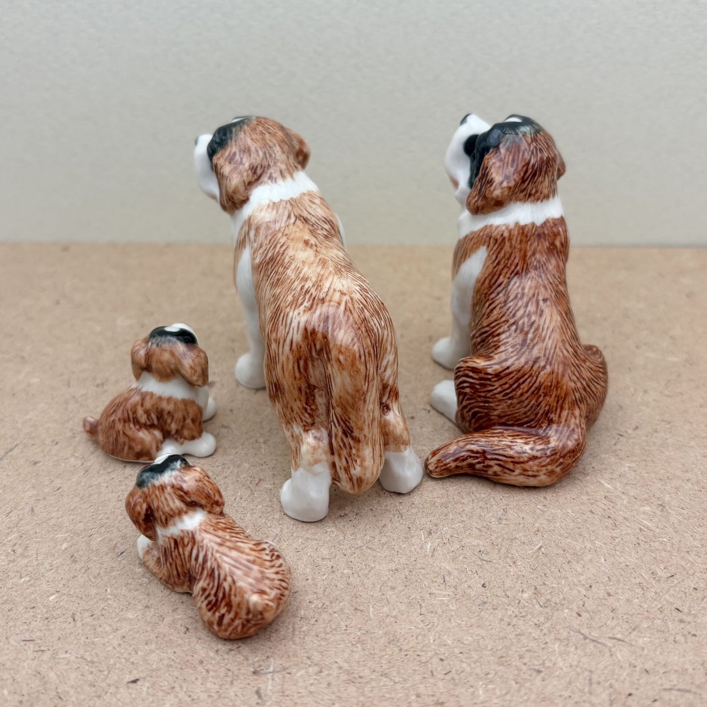 The Saint Bernard Bunch