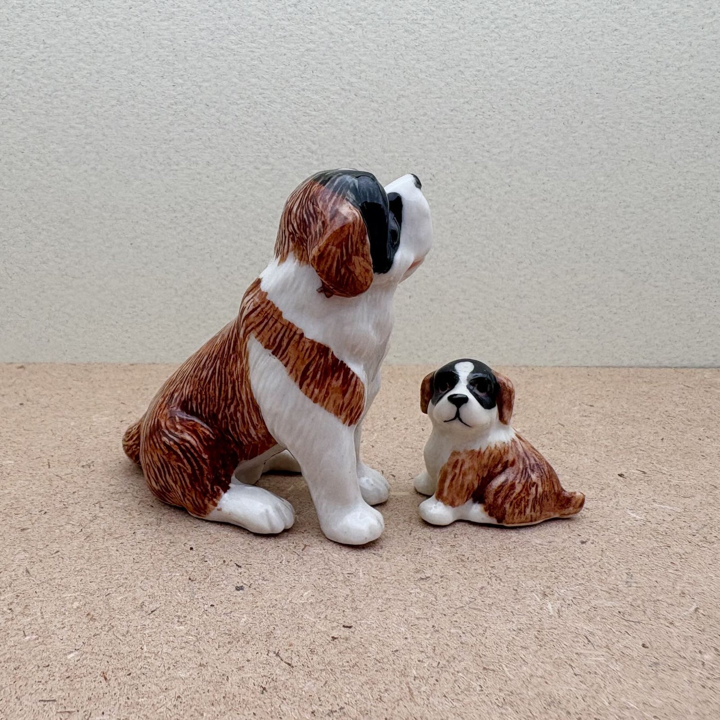 The Saint Bernard Bunch