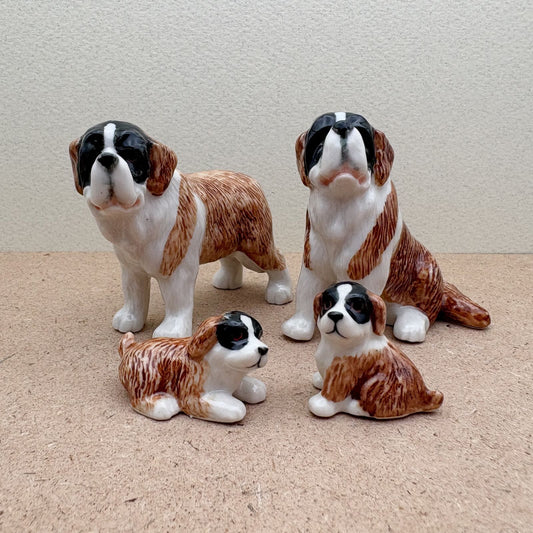 The Saint Bernard Bunch