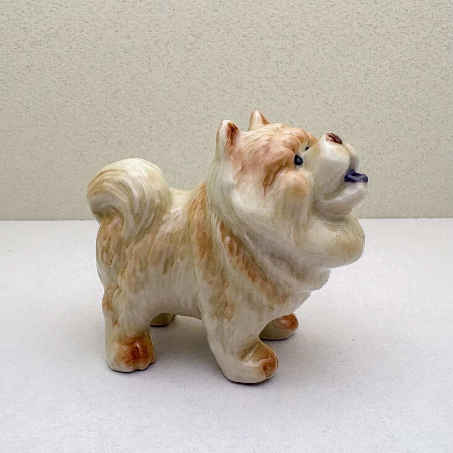 Chow Chow