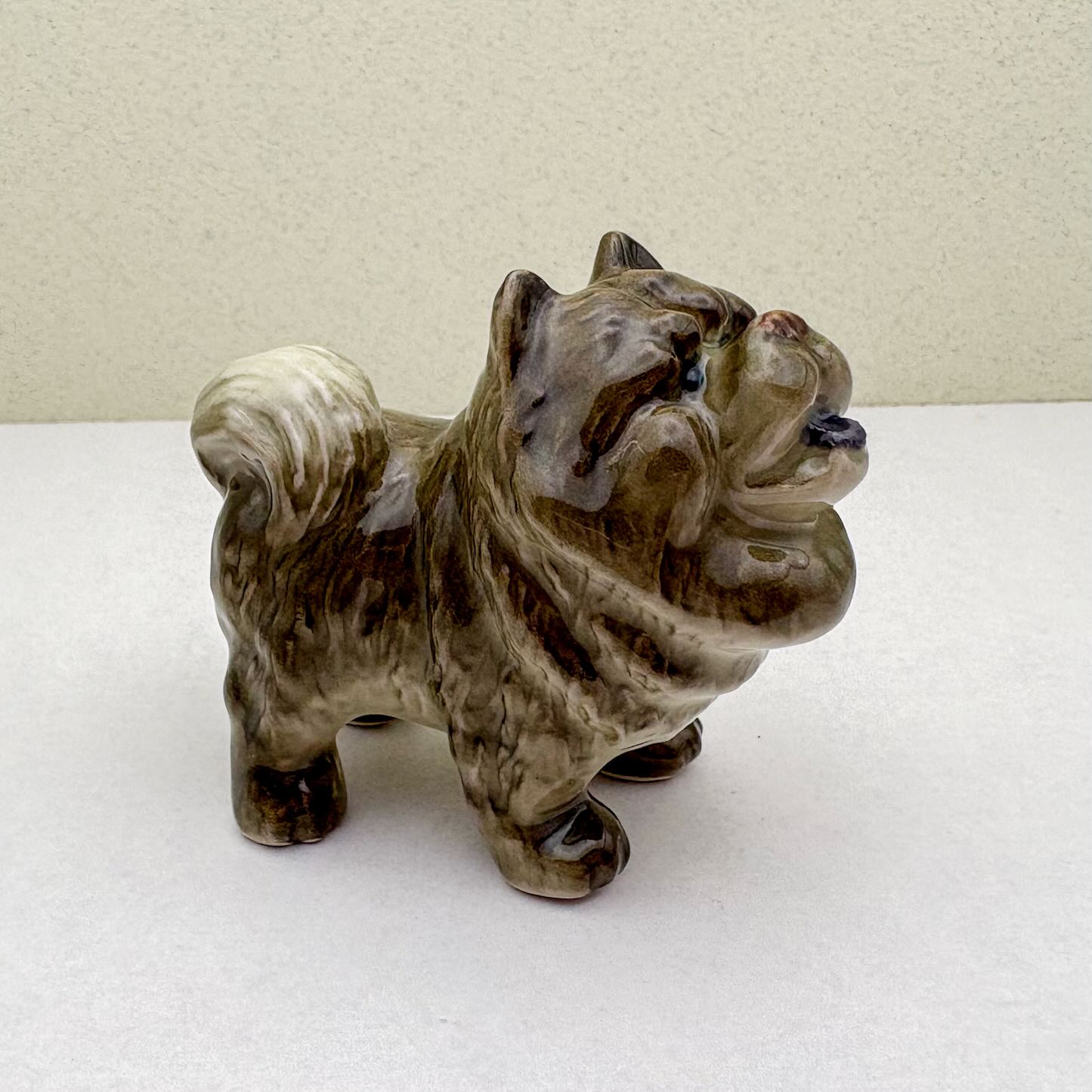 Chow Chow