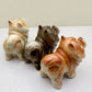 Chow Chow
