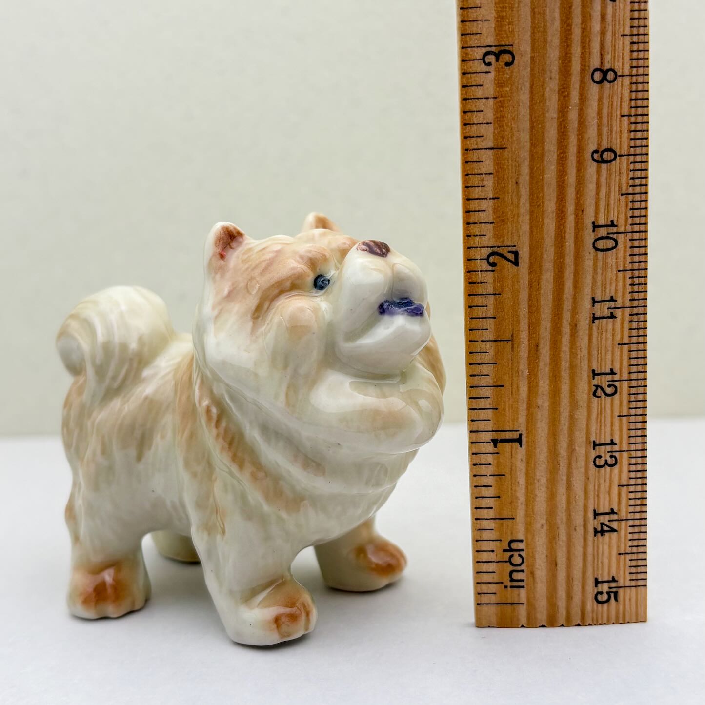 Chow Chow