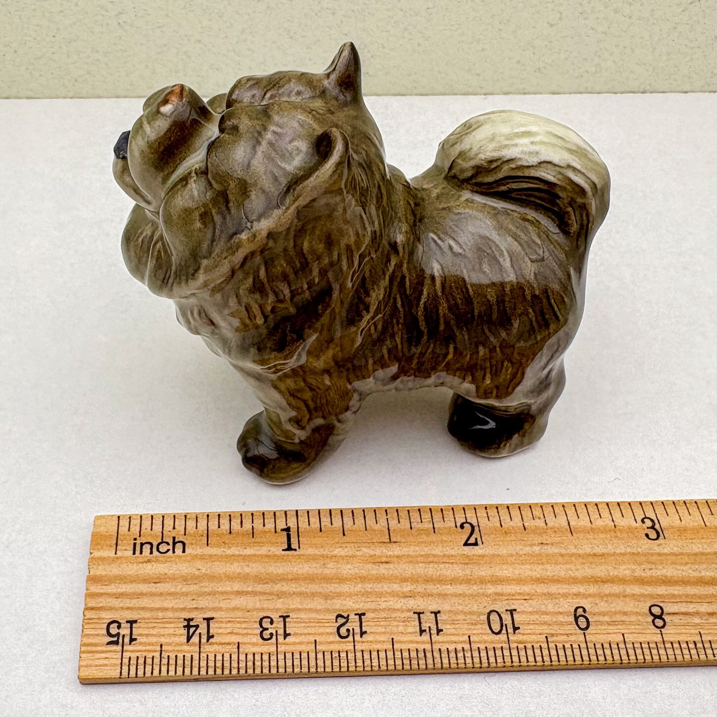 Chow Chow