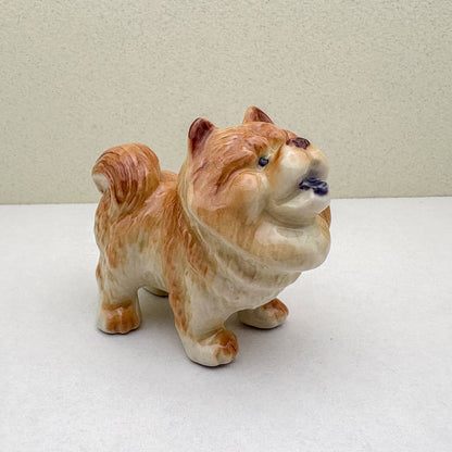 Chow Chow
