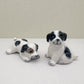 Playful Pups