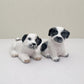 Playful Pups