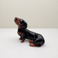 Dachshund Pup