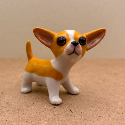 Chihuahua