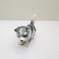 Charming Husky Set