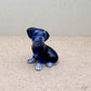Midnight Pup