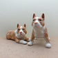 Charming Pit Bull Duo