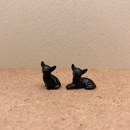 2 Tiny Chihuahua