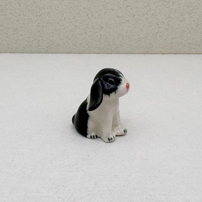 Tiny Lop-Eared Bunny