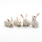 4 Rabbits