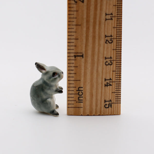Gray Bunny Alert Pose