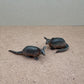 Mini Armadillo Duo