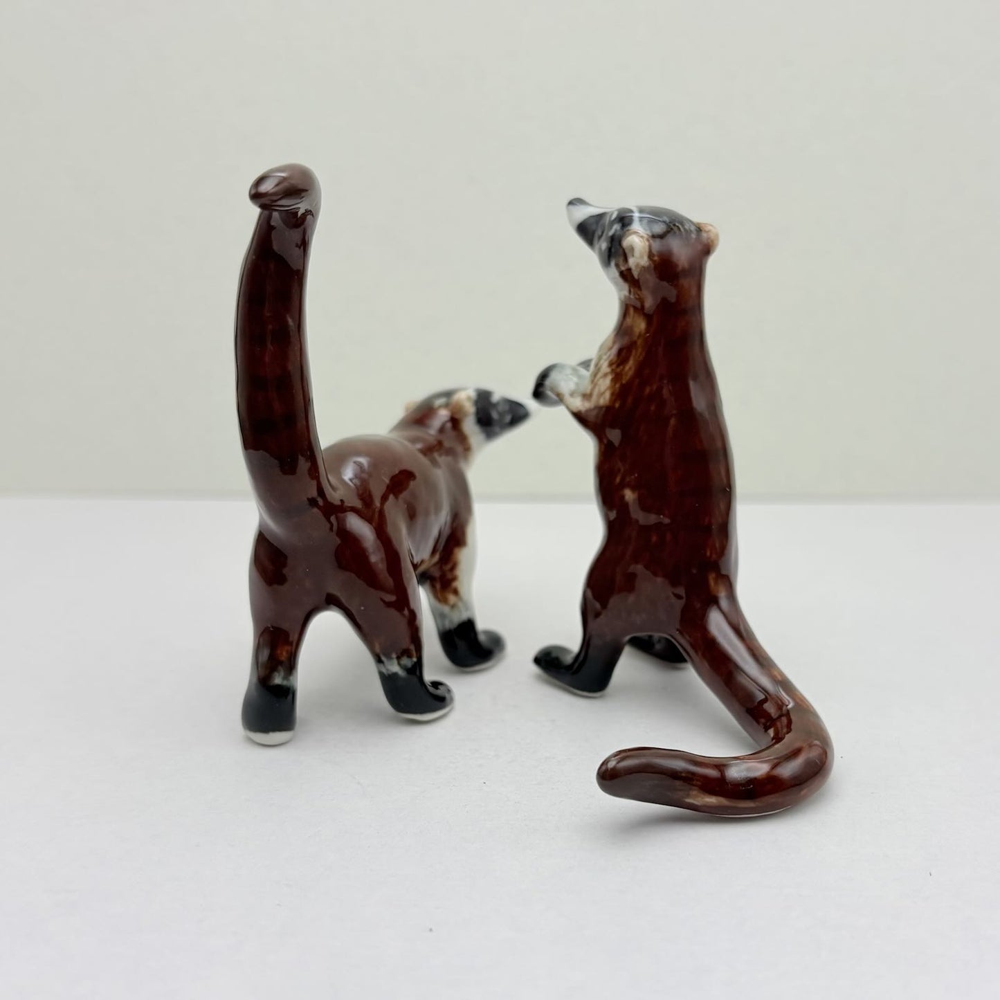 2 Coatimundi Red Raccoons