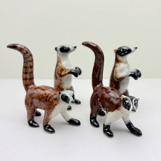 2 Coatimundi Red Raccoons