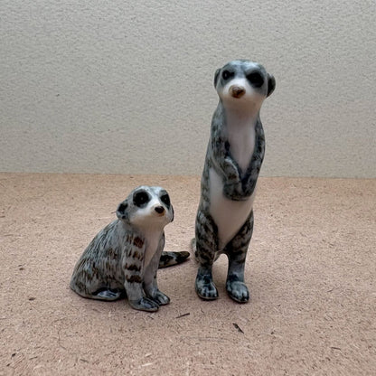 Meerkat Duo