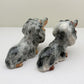 Longhaired Dachshund Charm