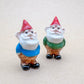 Mini Gnome