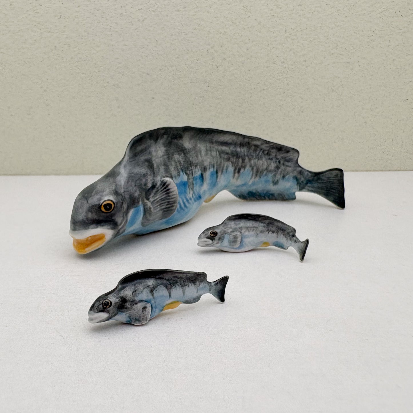 Catfish Family, Set of 3