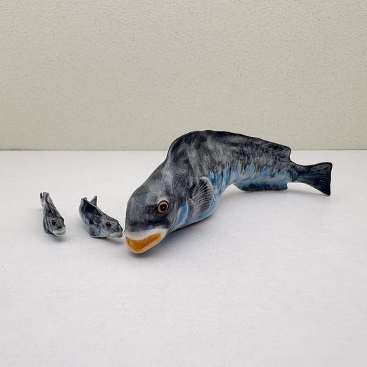Catfish Family, Set of 3