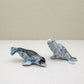 2 Seal Sea Lion