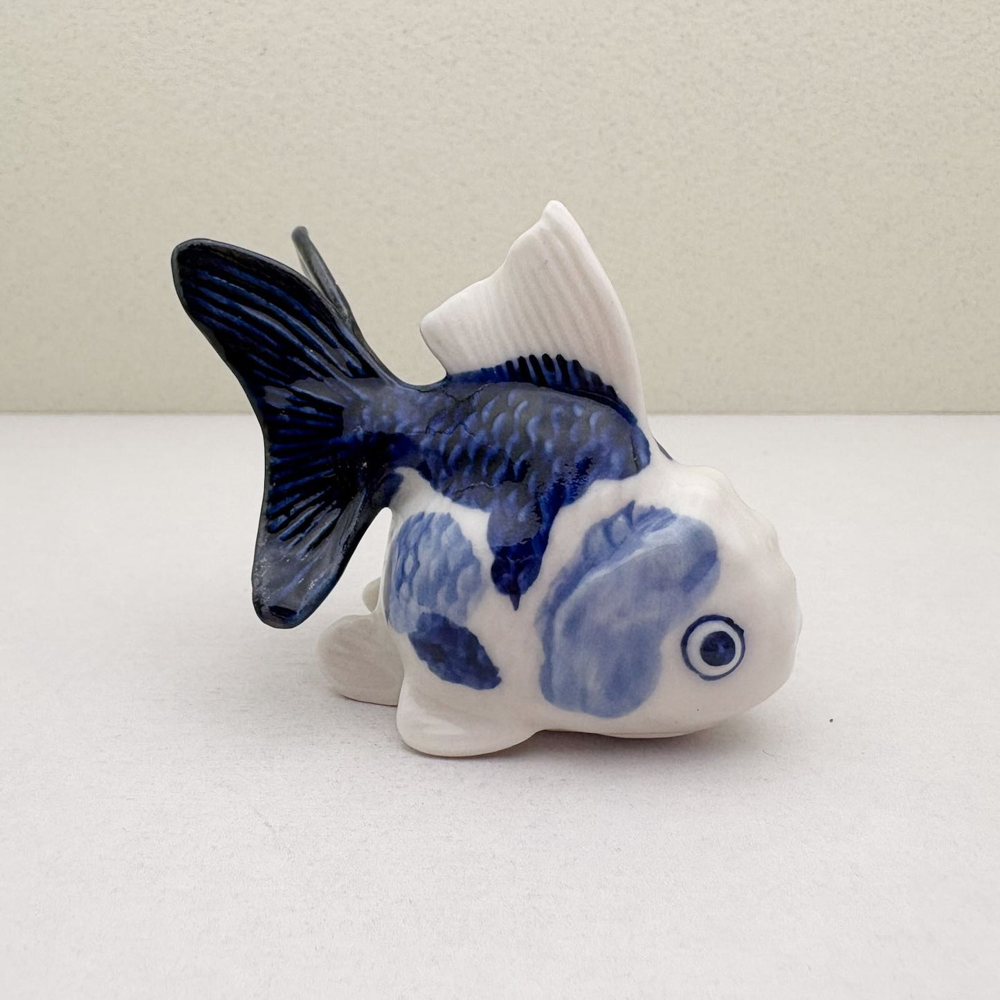 Blue & White Oranda Goldfish