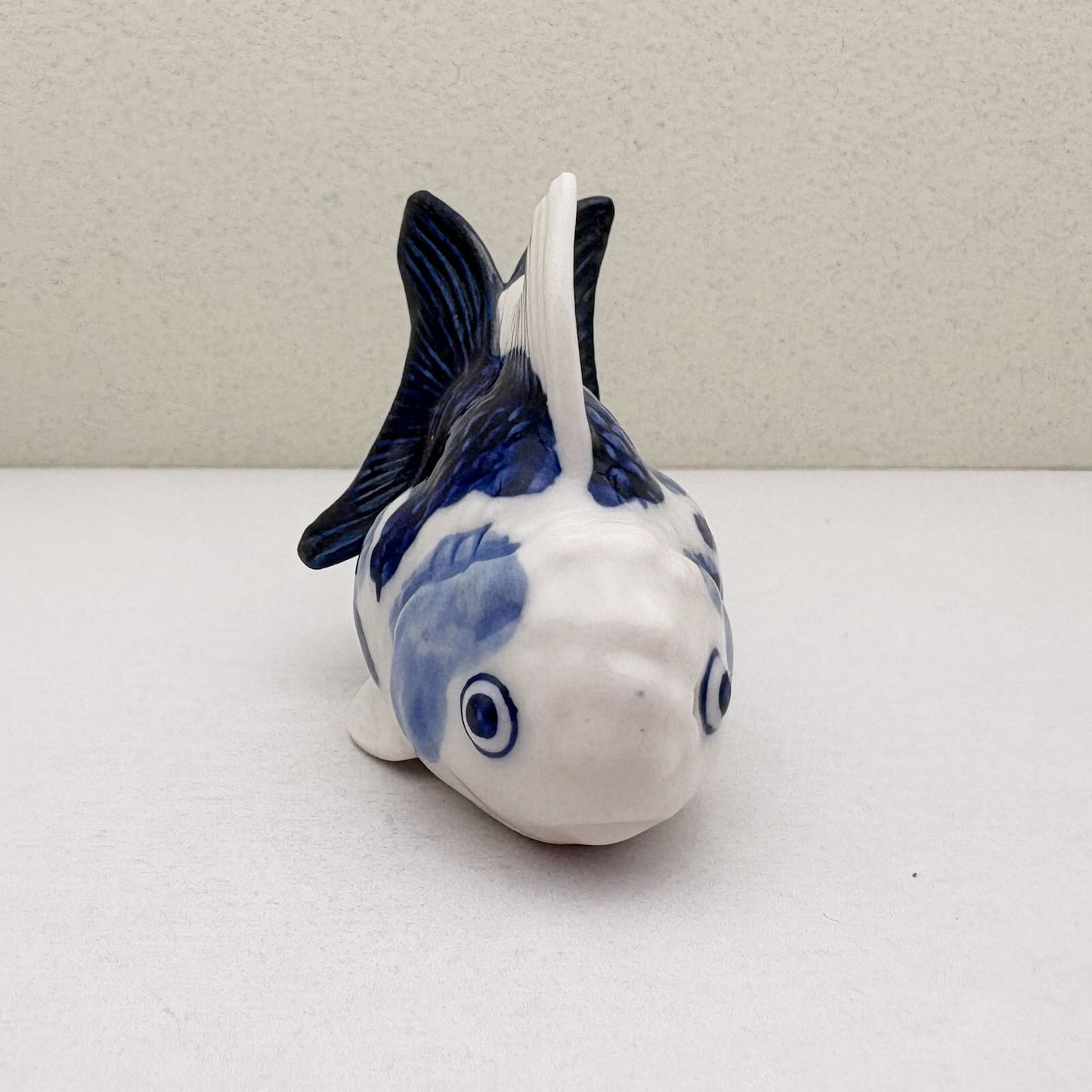 Blue & White Oranda Goldfish