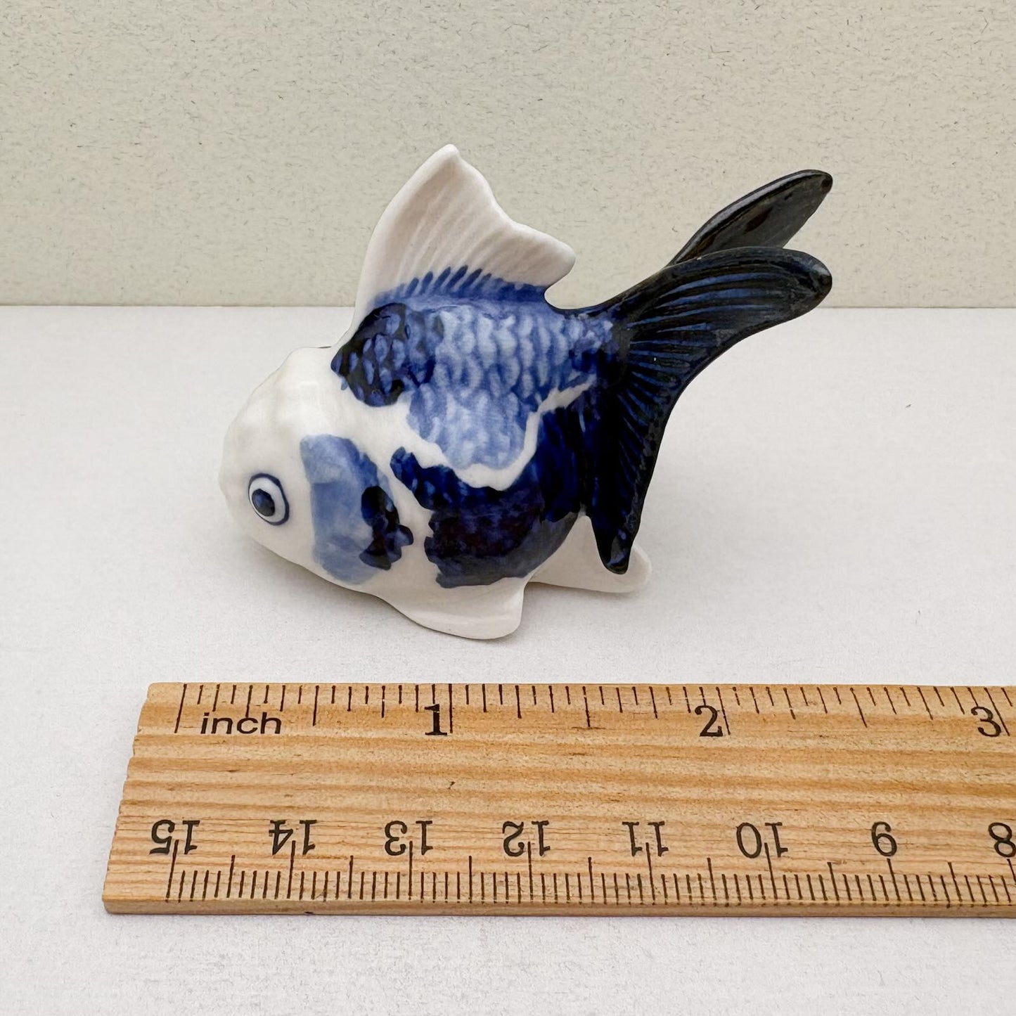 Blue & White Oranda Goldfish