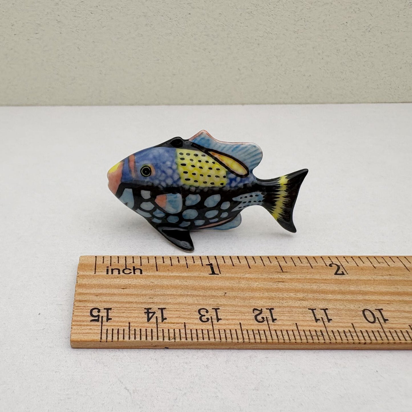 Clown Triggerfish