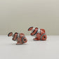 Tropical Clownfish Duo