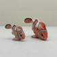 Tropical Clownfish Duo