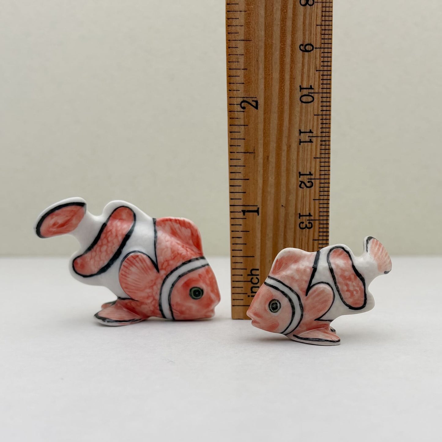 Tropical Clownfish Duo