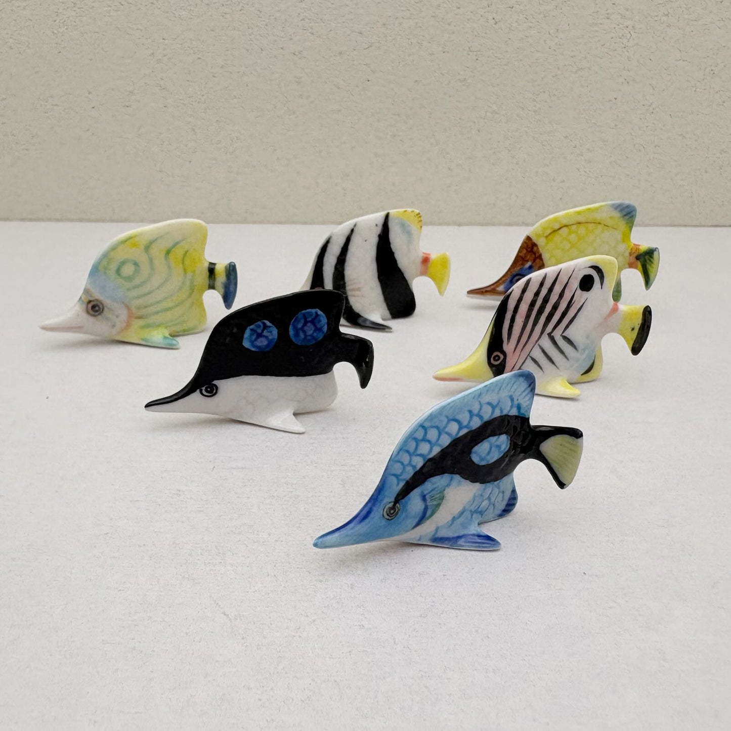 Set of 6 Baby Butterflyfish