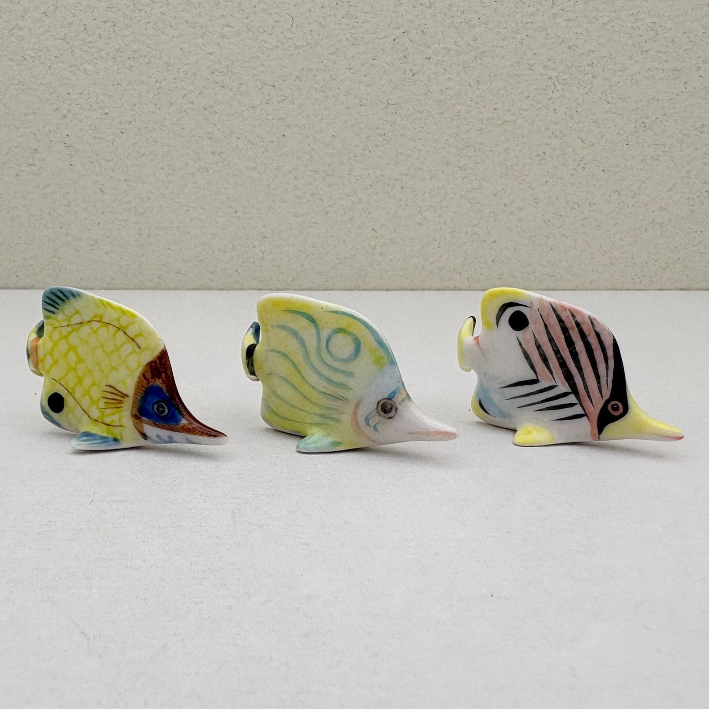 Set of 6 Baby Butterflyfish