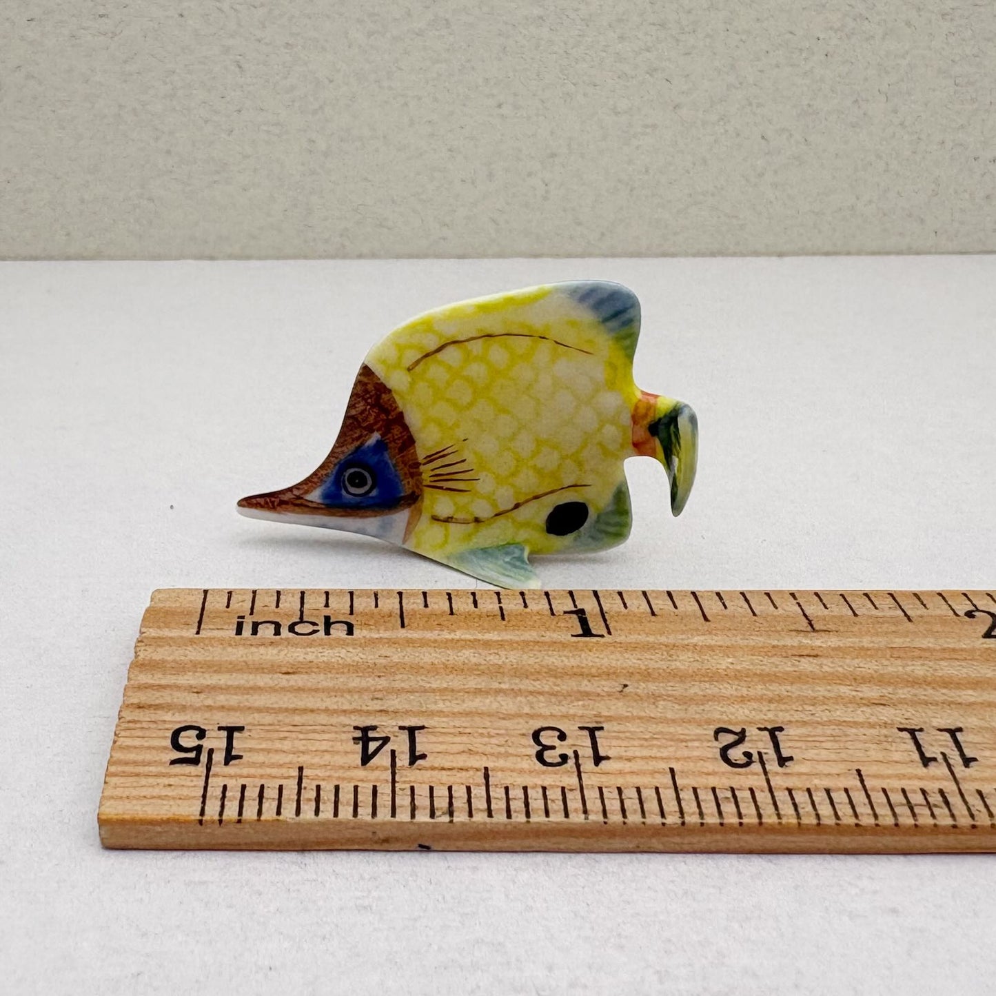 Set of 6 Baby Butterflyfish