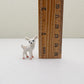 Tiny White Fawn