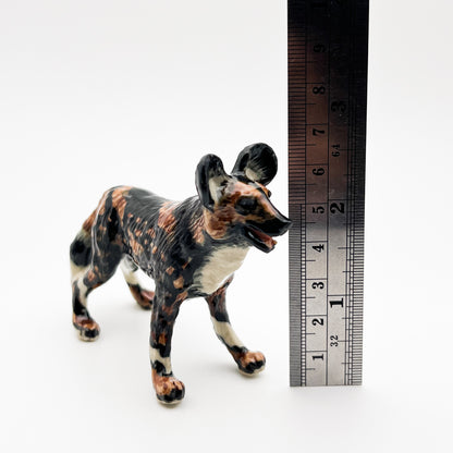 African Wild Dog Lycaon Pictus